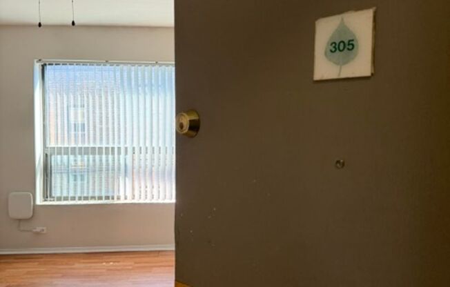 Studio, 1 bath, $1,050, Unit 305