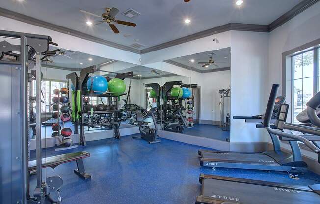 A gym with a variety of equipment including treadmills, weights, and exercise balls.