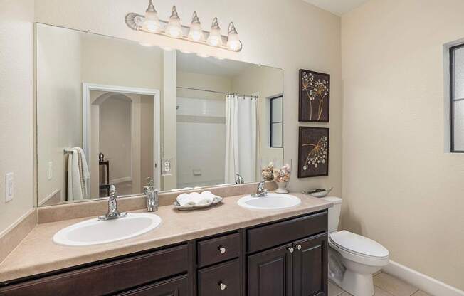Dual sink vanities in select units - DeLayne at Twin Creeks