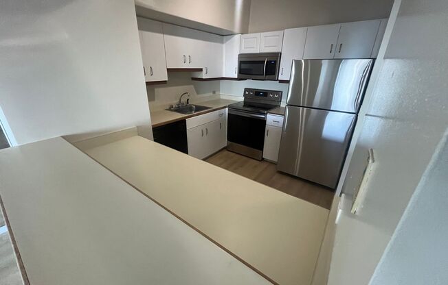1 bed, 1 bath, $2,595, Unit Unit 502