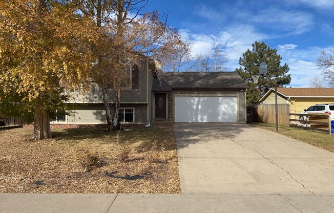 Spacious Tri-Level Home in West Fort Collins