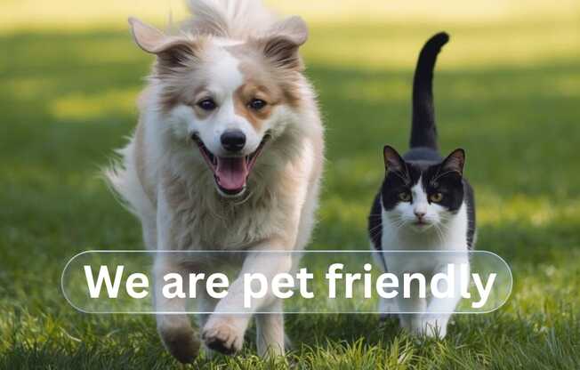 A dog and a cat are running together in the grass with a ball.