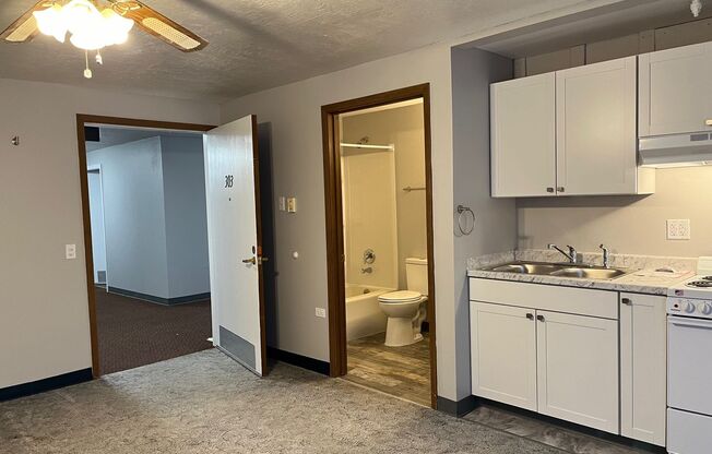 Studio, 1 bath, 263 sqft, $730, Unit 303