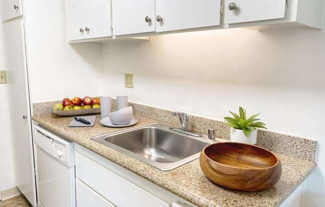 kitchen counter and sink
