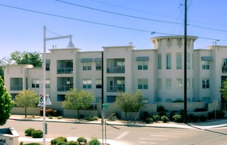 a large white apartment building with trees in front of it