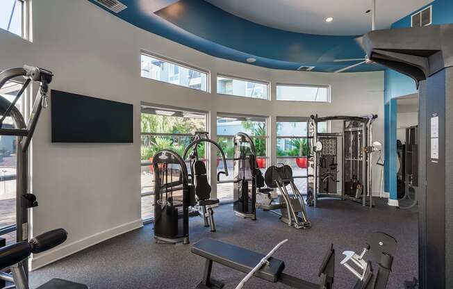 A gym with a variety of equipment including a treadmill, weights, and a bench press.