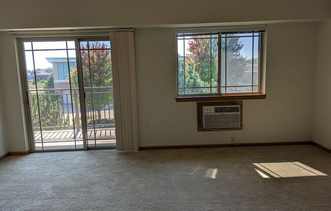 Studio, 1 bath, 502 sqft, $1,310, Unit 202-310