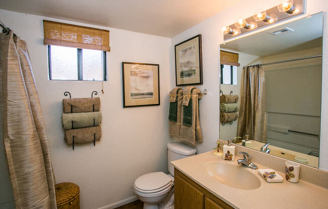 Model Bathroom at Spacious Apartments in Chandler, AZ 85226
