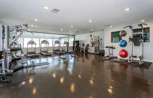 A gym with a variety of equipment including treadmills, weights, and exercise balls.