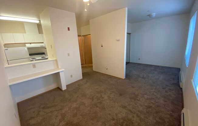 Studio, 1 bath, 462 sqft, $1,295, Unit 225