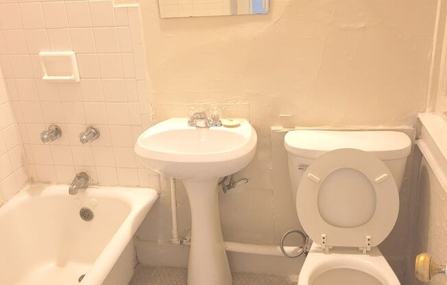 Studio, 1 bath, $800, Unit 106