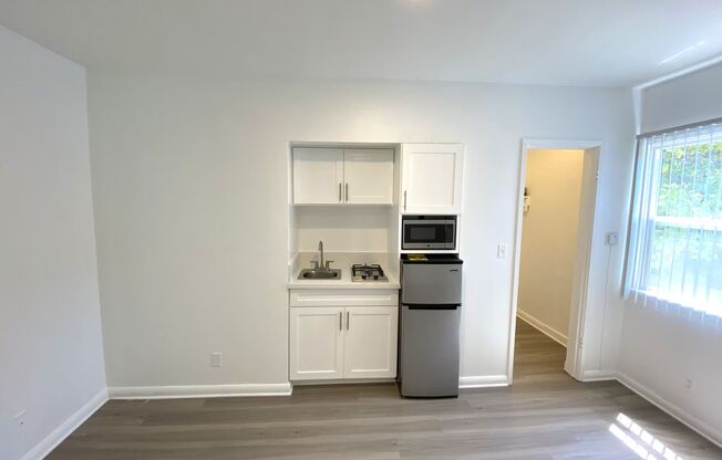 Studio, 1 bath, 350 sqft, $2,098, Unit 01