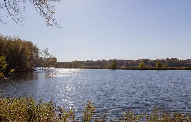 Breathtaking Pond-View at ReNew at Neill Lake, Eden Prairie, 55344