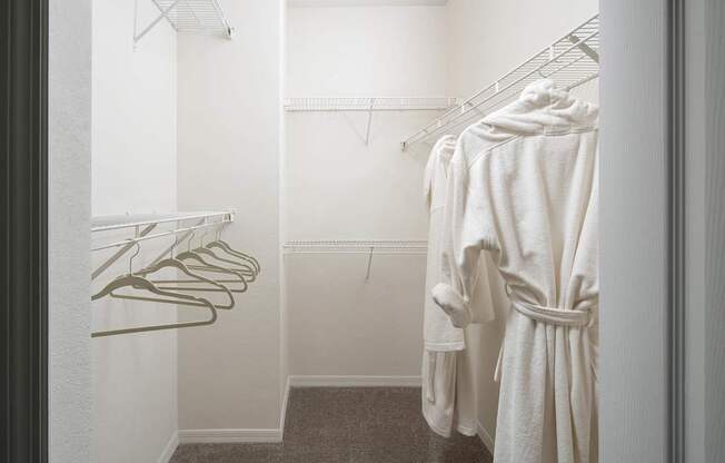 a walk in closet with a robe and clothes rack