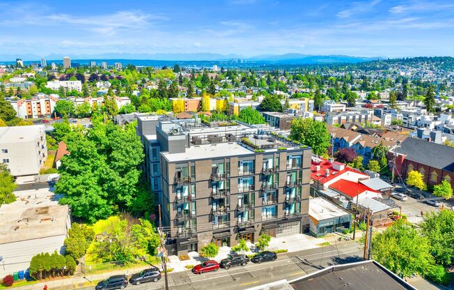 1 bed, 1 bath, 385 sqft, $1,795, Unit 303