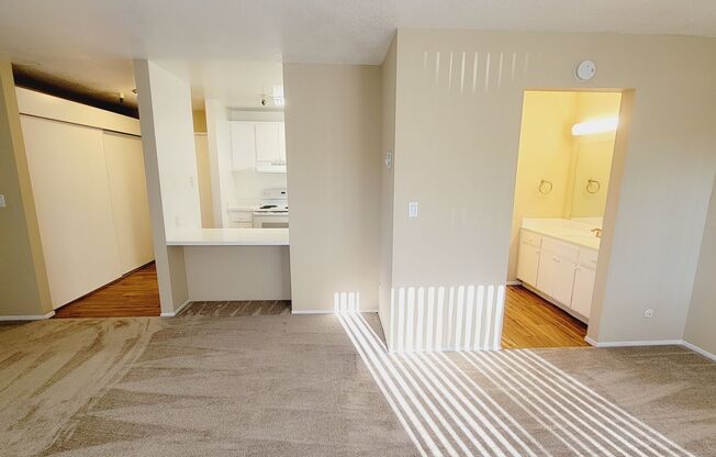 Studio, 1 bath, 500 sqft, $2,050, Unit 503