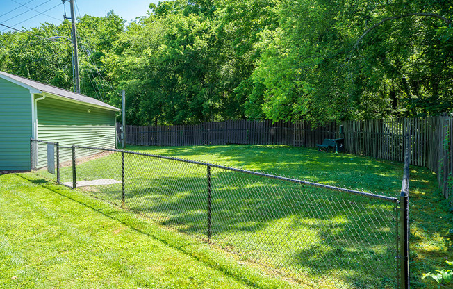 Fenced In Dog Park