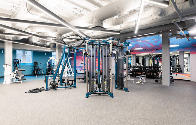 Cardio and Weight lifting