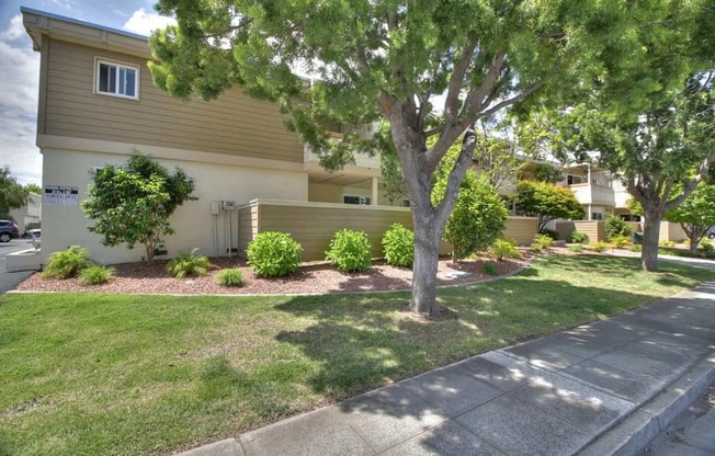 Courtyard Garden Space at Magnolia Place, Sunnyvale, CA, 94087