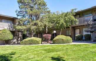 A sunny day at a well-kept apartment complex with green grass and trees.