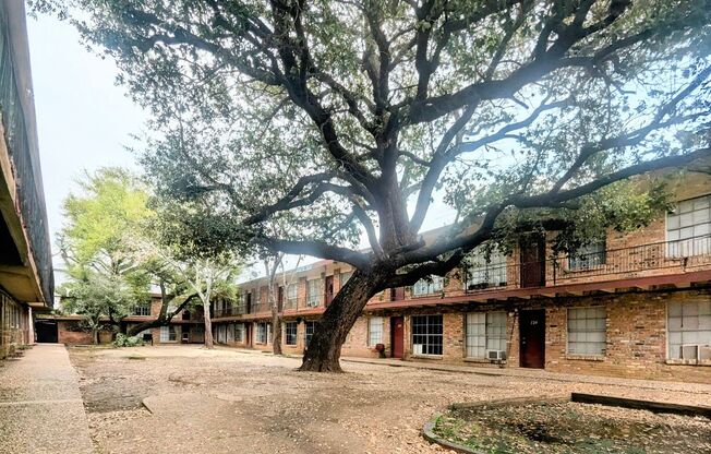 Charming Apartments, All Bills Paid!