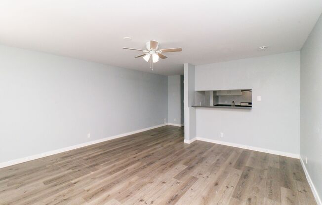 Studio, 1 bath, $1,495, Unit 17