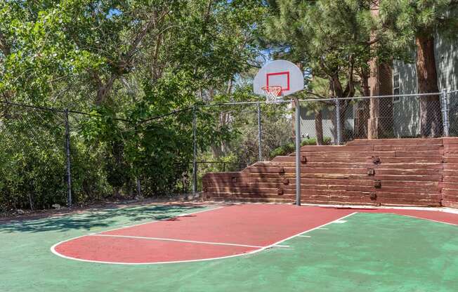 a basketball court in a backyard with trees at Arcadia Apartments, Colorado