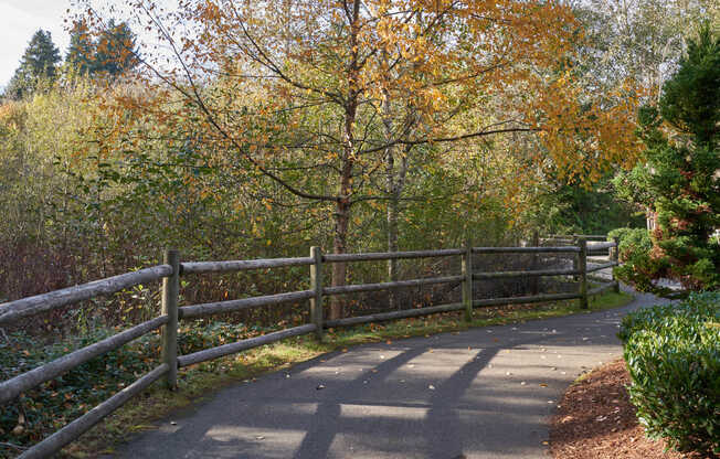 Explore the tree-lined paths throughout Mill Creek.