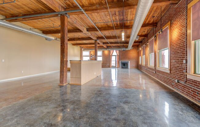 Huge Luxury 2 Story Condo with Private Rooftop Deck!