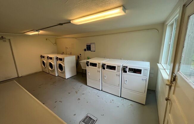 Studio, 1 bath, $1,295, Unit 11