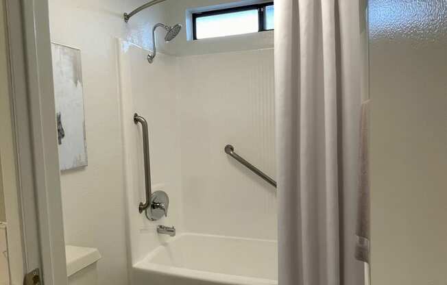 a bathroom with a shower and a toilet and a curtain