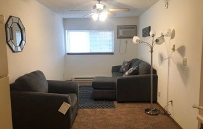 1 bed, 1 bath, 469 sqft, $925