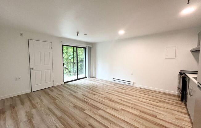 1 bed, 1 bath, 480 sqft, $1,495, Unit 303