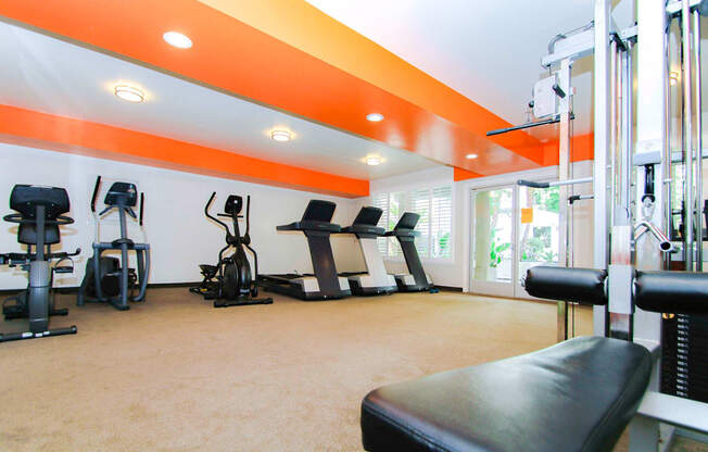 Fitness Center With Treadmills and Weight Machines.