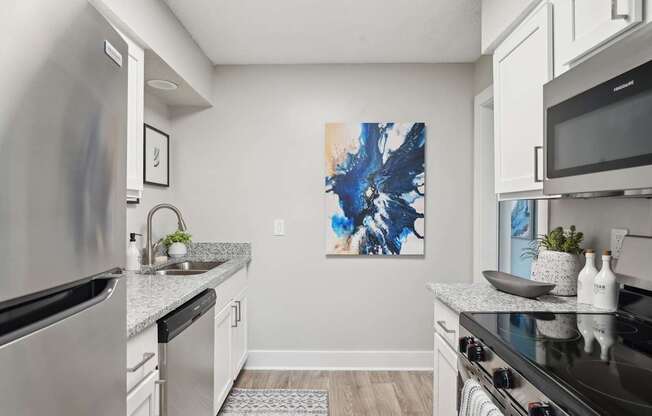 Luxury apartment kitchen with stainless steel appliances and granite countertops