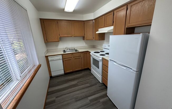 1 bed, 1 bath, 490 sqft, $1,300, Unit 224