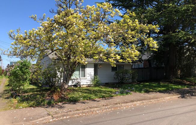 Charming 2 bed 1 bath house in a great neighborhood!