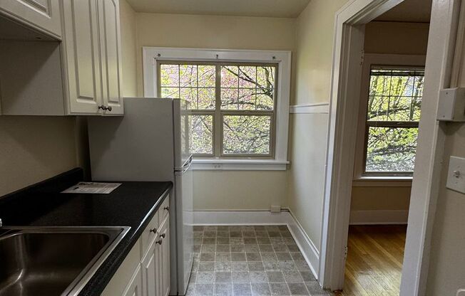 Studio, 1 bath, 472 sqft, $1,395, Unit 207