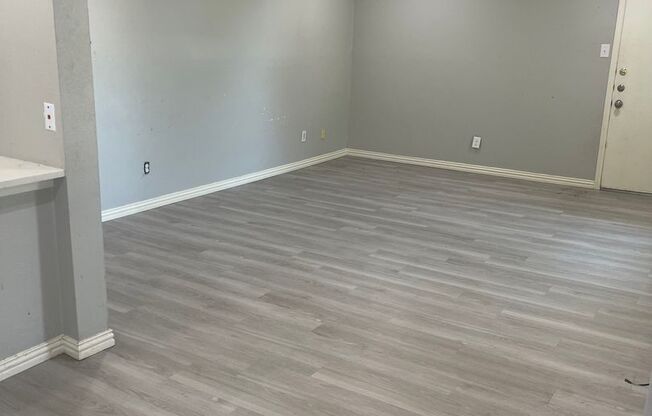 Large 2 Bedroom Condo minutes from SMU and Lower Greenville!