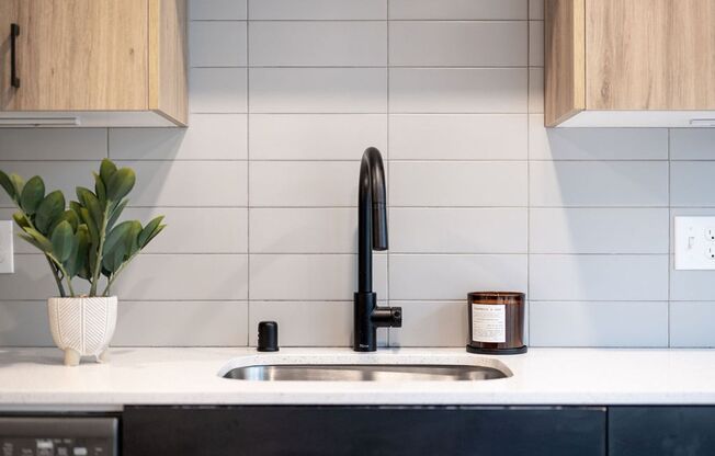 Studio, 1 bath, 350 sqft, $1,500, Unit 212