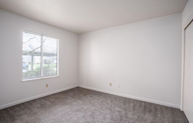 1 bed, 1 bath, 625 sqft, $1,610, Unit 279