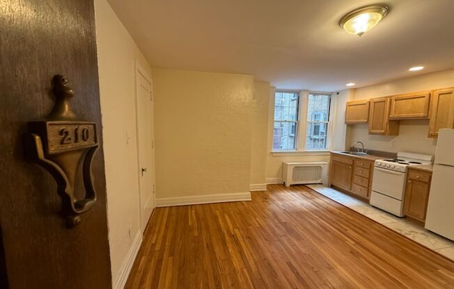 Studio, 1 bath, 294 sqft, $1,225, Unit New King Edward 210