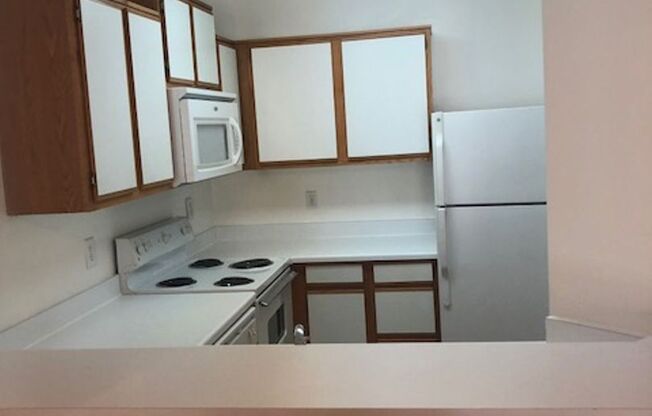 1 bed, 1 bath, 730 sqft, $1,031, Unit B306
