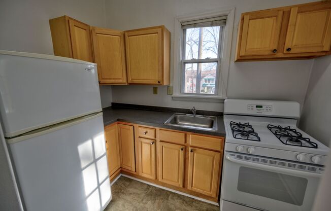 1 bed, 1 bath, 785 sqft, $1,300, Unit 2