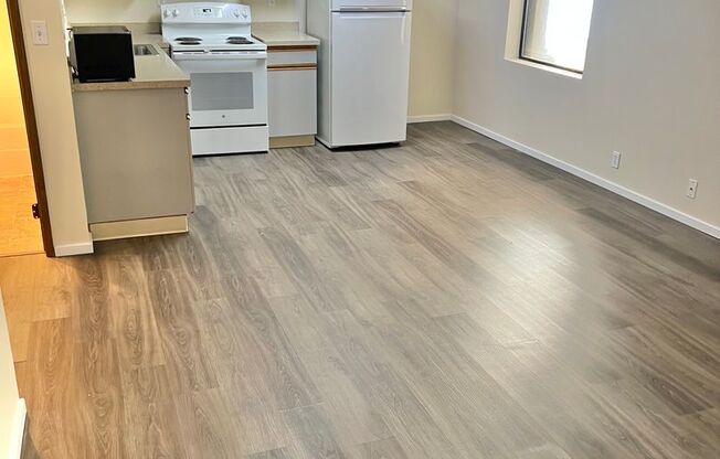 Studio, 1 bath, 413 sqft, $1,295, Unit 212