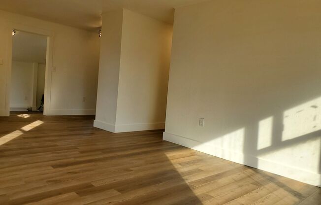 Everything Is Brand New!