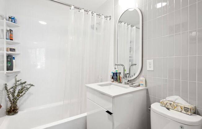 Studio, 1 bath, 375 sqft, $1,450, Unit 203