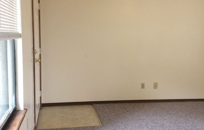 3 Bedroom Ranch Nixa-new carpet