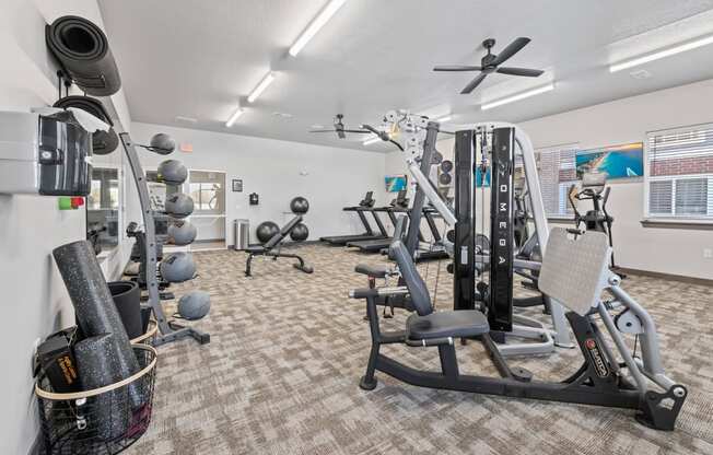 Modern gym with rows of cardio equipment.