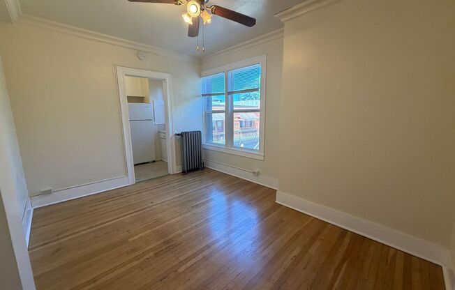 1 bed, 1 bath, 460 sqft, $1,250, Unit 209